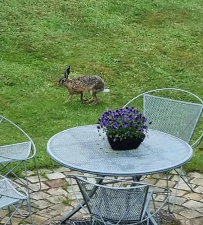 Auszeit An Der Nordsee *